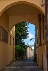 arezzo